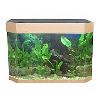 Mediterranean Mediterranean