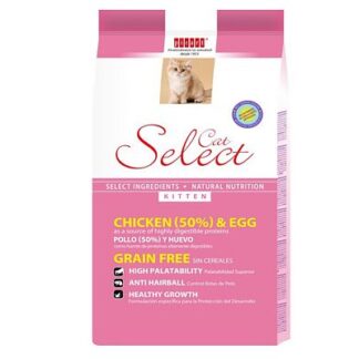 Picart Select KITTEN cat