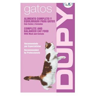Dupy adult cat dupy