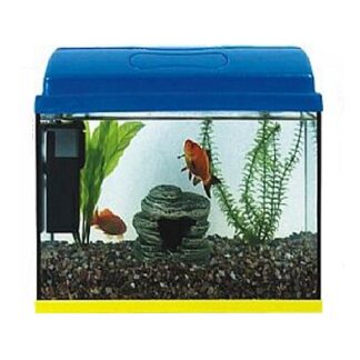 Pacific Set Ενυδρείου