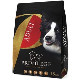 Privilege Active