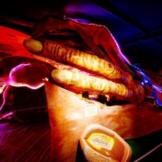 Περιηγηθείτε οικογενειακά στην πρώτη και μοναδική Έκθεση Ανθρώπινου Σώματος &laquo;<strong>Human Body Museum</strong>&raquo;!