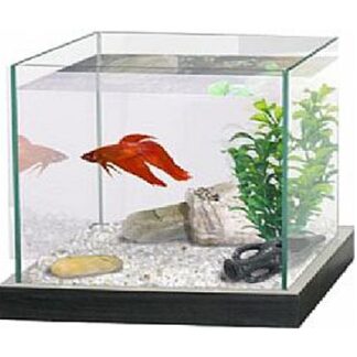 Mediterranean Ενυδρείο Mονομάχου.