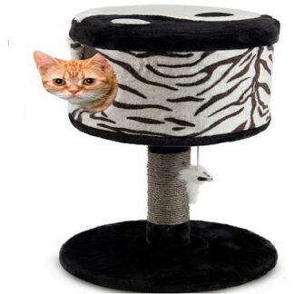 Bau Ονυχοδρόμιο Llly