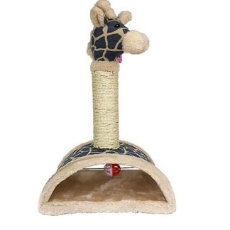 Cavia Ονυχοδρόμιο more