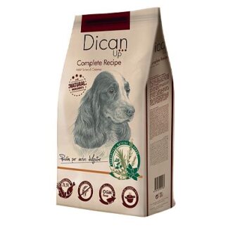 Dican up Complete Recipe