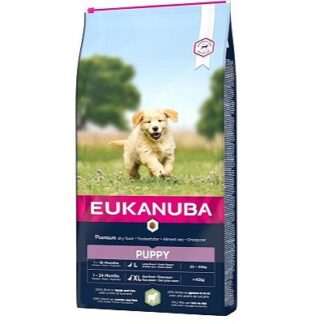 Eukanuba Puppy Large Breed Αρνί & Ρύζι
