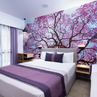 Monemvasia Green Apartments - Μονεμβασιά