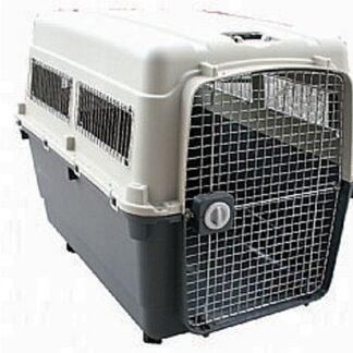 Bon Mεταφοράς Cargo XL