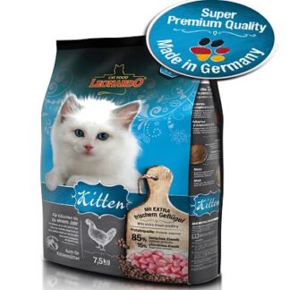 Leonardo Kitten Leonardo