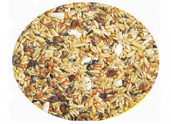 Professional Mix Carduelis Rapeseed Free- Tροφή για αγριόπουλα xωρίς Ρούπσεν