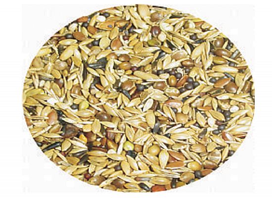 Professional Mix Carduelis Super με περίλλα. Τροφή για καρδερίνες - φλώρια