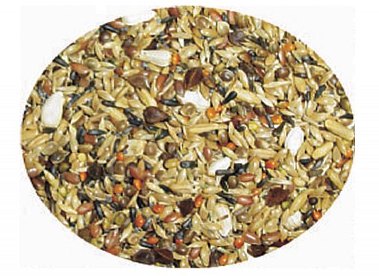 Professional Mix Carduelis χωρίς ηλιόσπορους. Τροφή για καρδερίνες - φλώρια