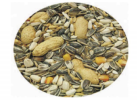 Professional Mix Expert Witte Molen Parrot mixture Prima. Για παπαγαλάκια.