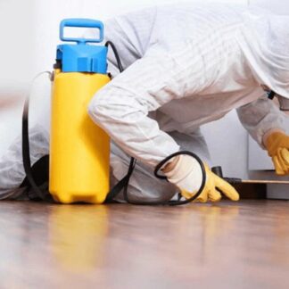 Dr Pest - Dr Pipe | Αττική