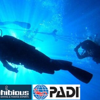 amphibious | Πολλαπλές Περιοχές