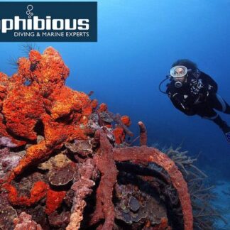 amphibious | Πολλαπλές Περιοχές