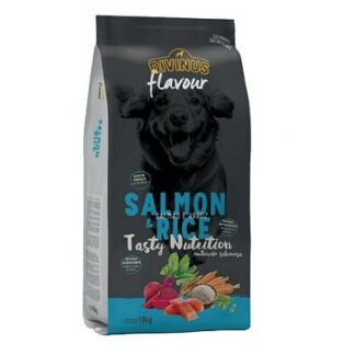 Divinus Adult Salmon & Rice