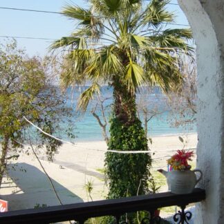 Captain Beach Boutique Apartments - Λιμένας, Θάσος