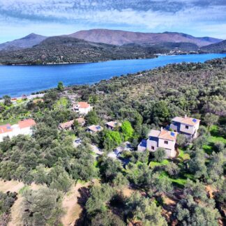 Gera's Olive Grove (Elaionas Tis Geras) - Κόλπος Γέρας, Λέσβος