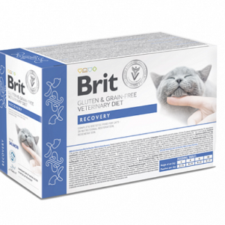 Brit Vetenirary Diets Cat Fillets in Gravy Pouches Recovery