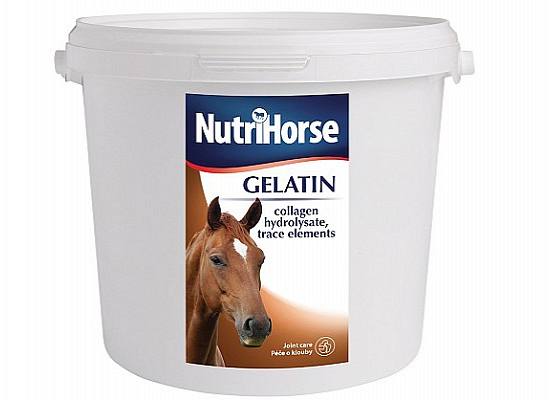 NutriHorse Gelatin