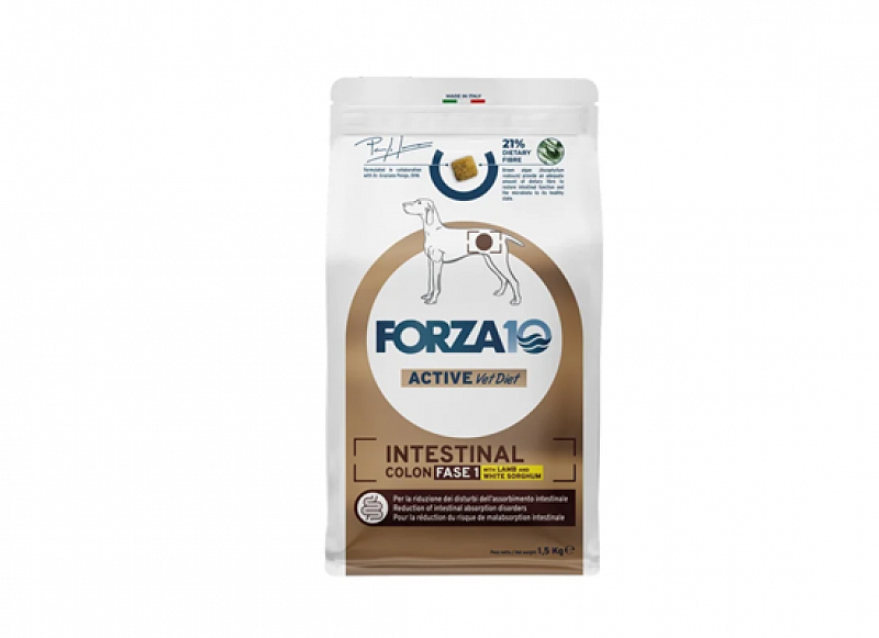 FORZA 10 Dog Intestinal Colon Fase 1 με αρνί & σόργο