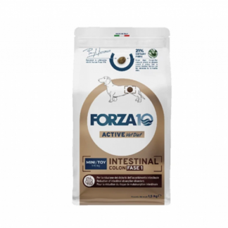 FORZA 10 Intestinal Colon Fase 1